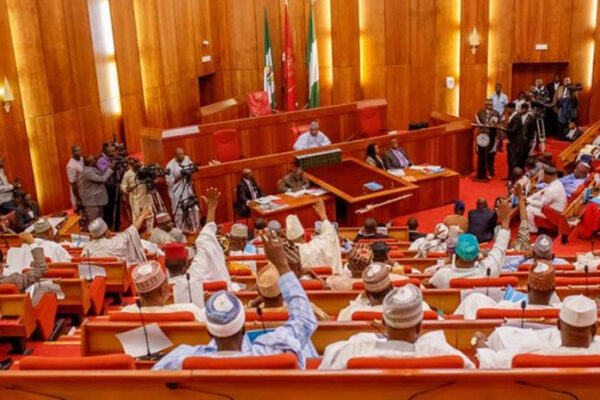 Northern Senators Forum reacts to deadly attacks in Benue and Kaduna states.