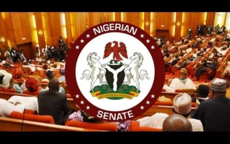 Nigerian Senate approves Customs Service 2026 budget with N11 trillion revenue target