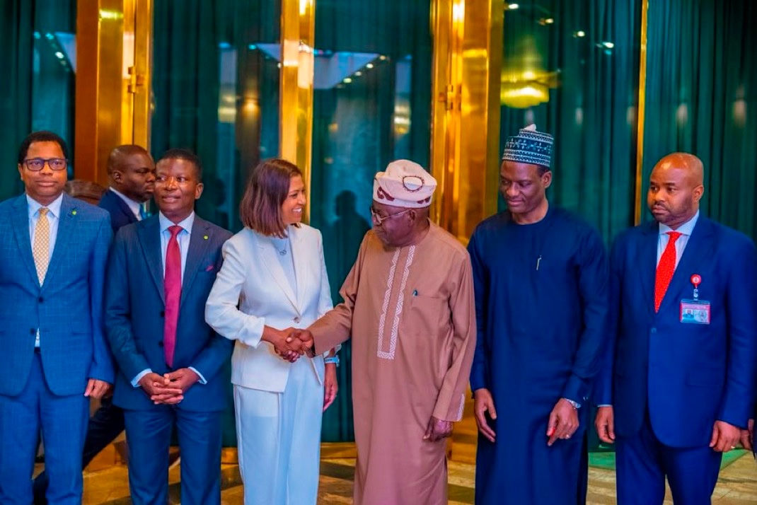 President Tinubu receives Deloitte Africa delegation at State House Abuja