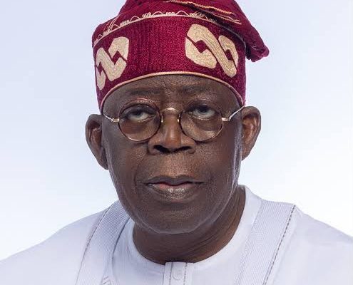 President Bola Tinubu during an official engagement