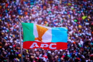 APC President Bola Tinubu 2027 presidential campaign council members.