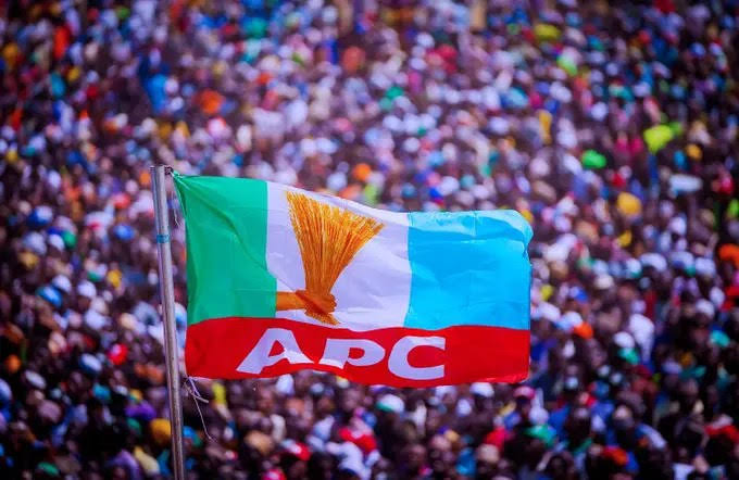 APC President Bola Tinubu 2027 presidential campaign council members.