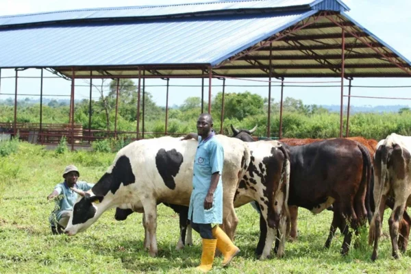 Bemgba Iortyom rejects Federal Government ranching plan in Benue
