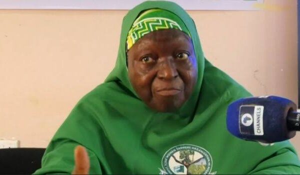 Women farmers in Jigawa State working on a farm