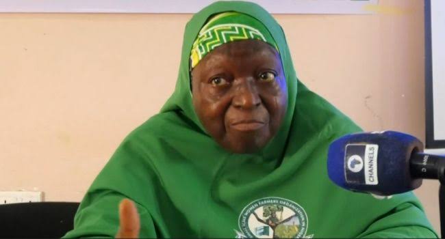 Women farmers in Jigawa State working on a farm