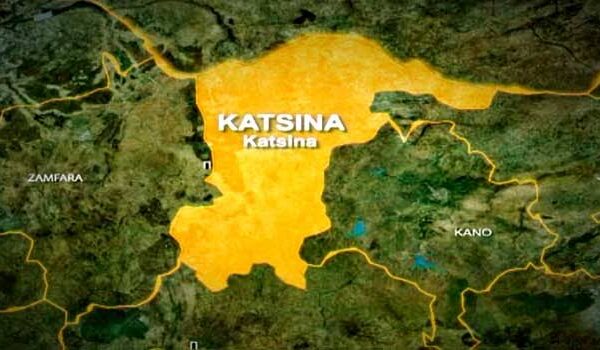 Katsina security forces recover arms and livestock after Bakori operation