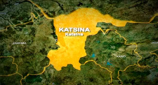 Katsina security forces recover arms and livestock after Bakori operation