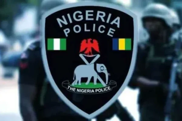 Niger State police confirm kidnap of women farmers at groundnut farm in Mukura village, Mariga