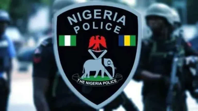 Niger State police confirm kidnap of women farmers at groundnut farm in Mukura village, Mariga